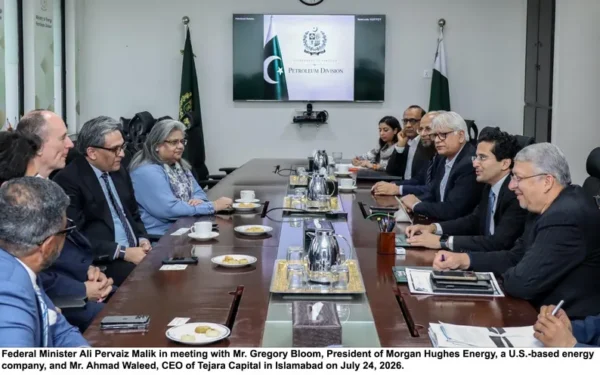 وفاقی وزیر پیٹرولیم علی پرویز ملک کی عالمی توانائی کمپنیوں سے ملاقات