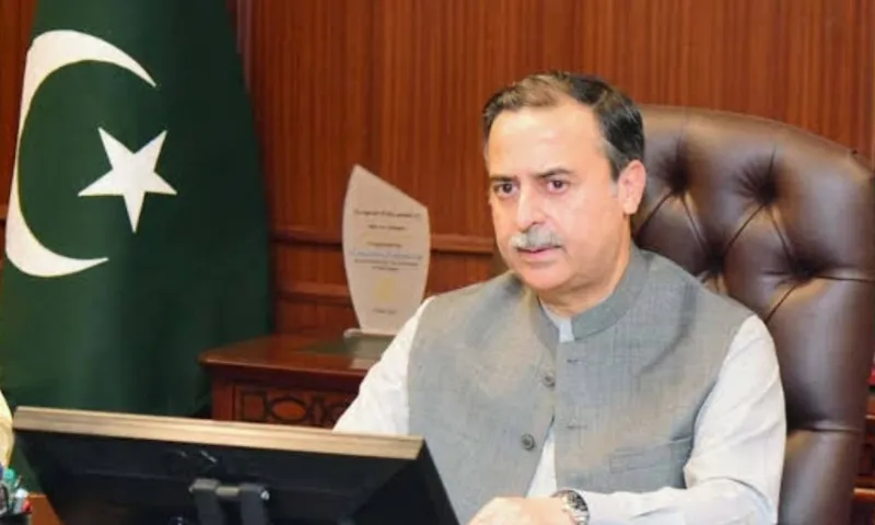 مینگرووز کی بحالی بلیو اکانومی کے فروغ کے لیے ناگزیر ہے
