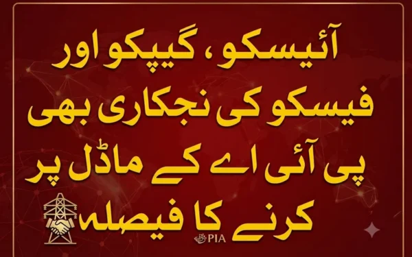 ڈسکوز کی نجکاری کے لیے پی آئی اے کا ماڈل اپنانے کی منظوری