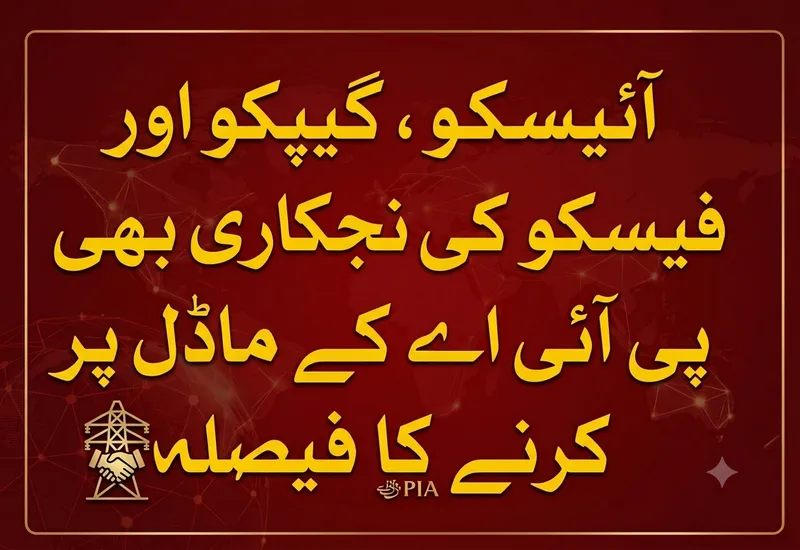 ڈسکوز کی نجکاری کے لیے پی آئی اے کا ماڈل اپنانے کی منظوری