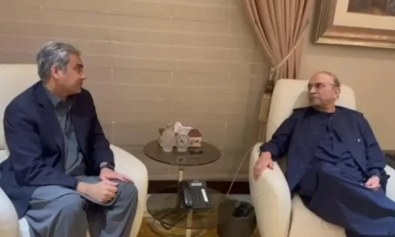 صدر مملکت آصف علی زرداری سے وزیر داخلہ محسن نقوی کی ملاقات