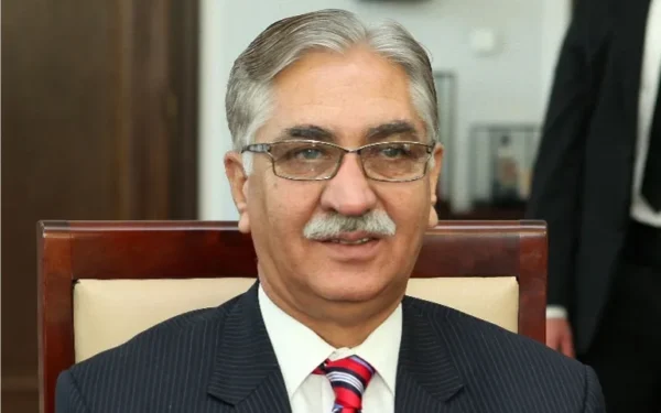 نئے انتظامی یونٹس کا معاملہ پیپلز پارٹی کی مرکزی ایگزیکٹو کمیٹی میں اٹھایا