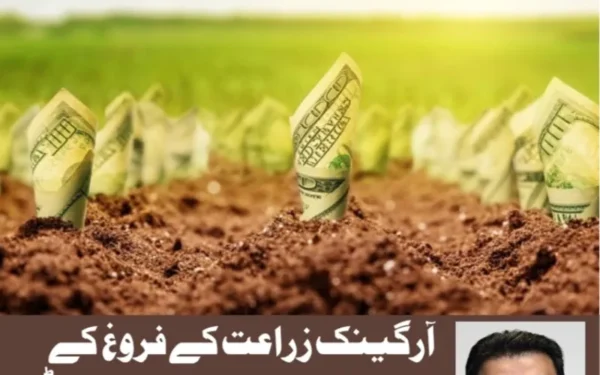 آرگینک زراعت کے فروغ کیلئے اعلیٰ سطحی قومی بورڈ تشکیل دیا جائے