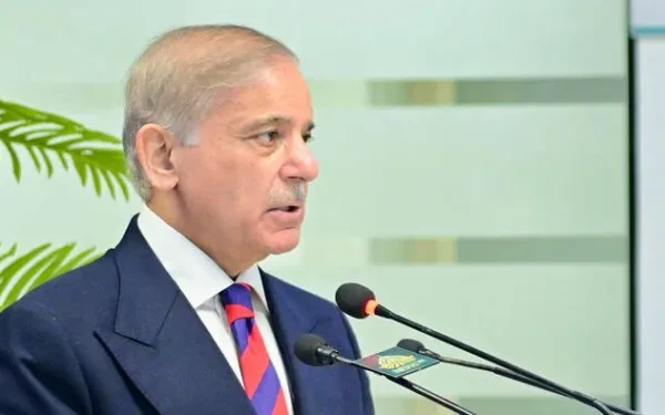 حکومت زیتون کی کاشت سے ملکی درآمدی بل میں کمی لائے گی