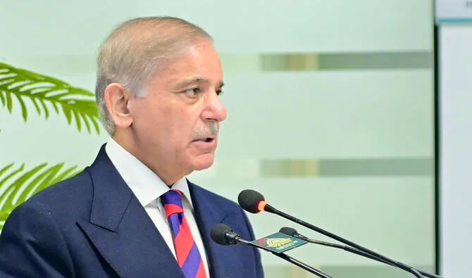 حکومت زیتون کی کاشت سے ملکی درآمدی بل میں کمی لائے گی