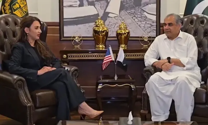 وفاقی وزیر داخلہ محسن نقوی اور امریکی سفیر کی اہم ملاقات