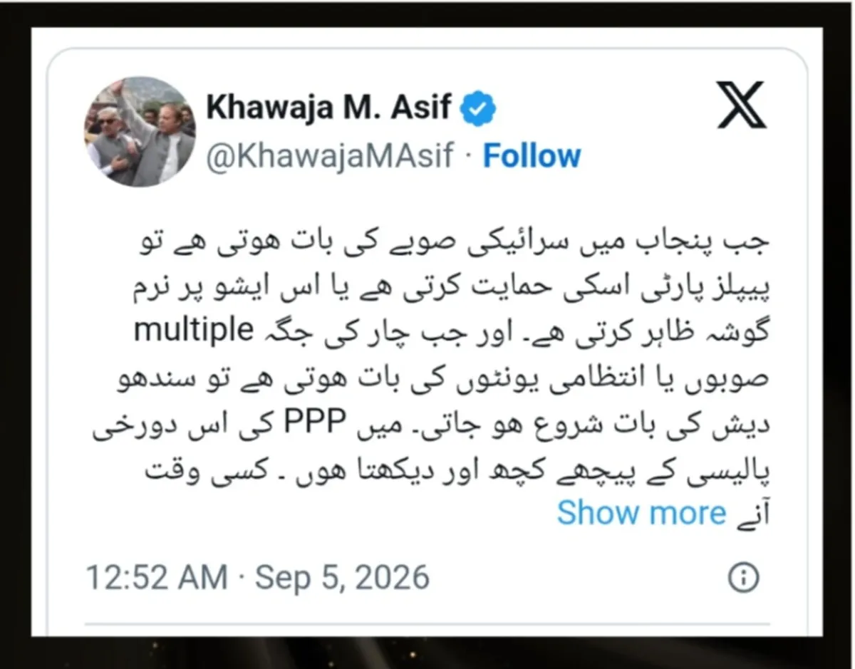 نئے صوبوں کے معاملے پر پیپلز پارٹی دوغلی پالیسی پر چل رہی ہے، سرائیکی صوبہ کی حامی، سندھ کی تقسیم پر سندھو دیش کی بات، خواجہ آصف (تصویر 2)