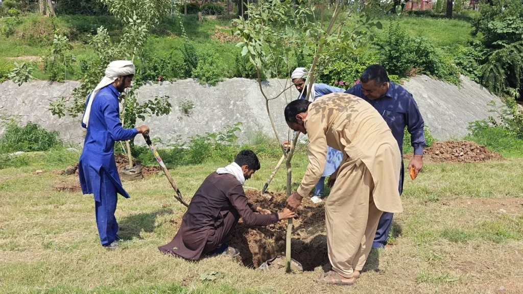 اسلام آباد کو سرسبز بنانے کے لیے سی ڈی اے کی شجرکاری مہم