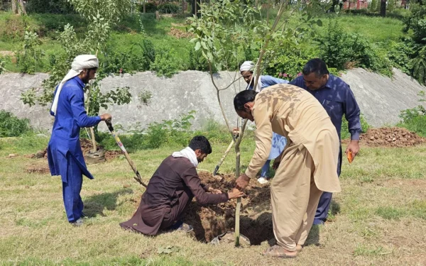 اسلام آباد کو سرسبز بنانے کے لیے سی ڈی اے کی شجرکاری مہم