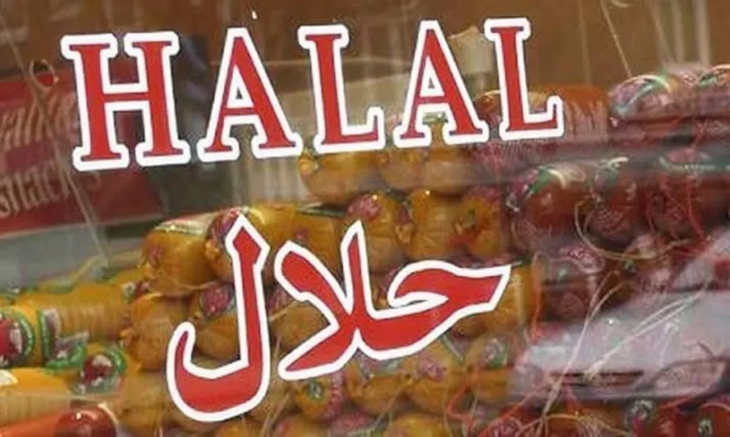 وفاقی وزیر برائے سائنس و ٹیکنالوجی خالد حسین مگسی پاکستان حلال فورم سے خطاب کر رہے ہیں۔
